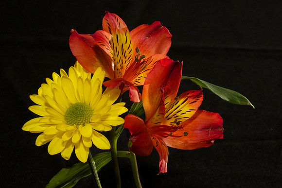 Andrea's Flowers, Herndon, VA