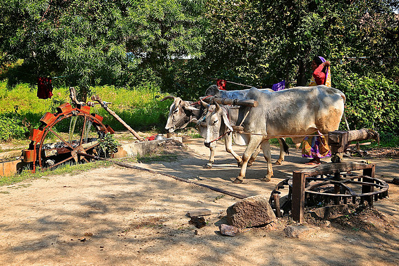 On the road to Khajuraho, India