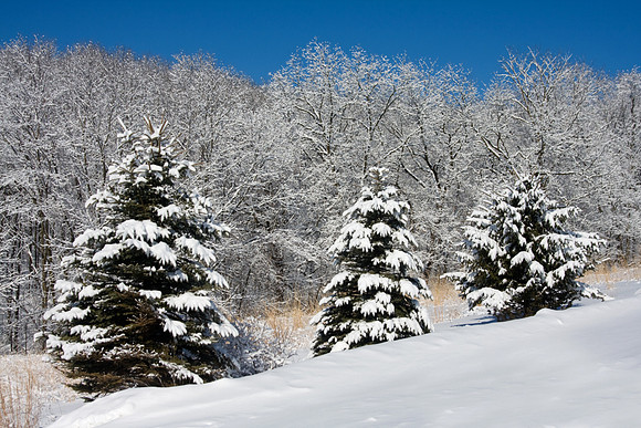 Galena Snow
