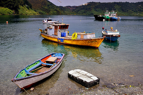 Angelmo Fish Market, Puerto Montt, Chile