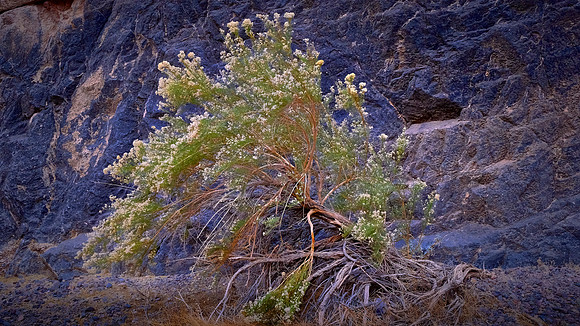 Echo Canyon, Death Valley NP, CA