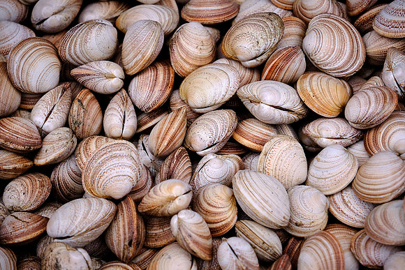 Angelmo Fish Market, Puerto Montt, Chile