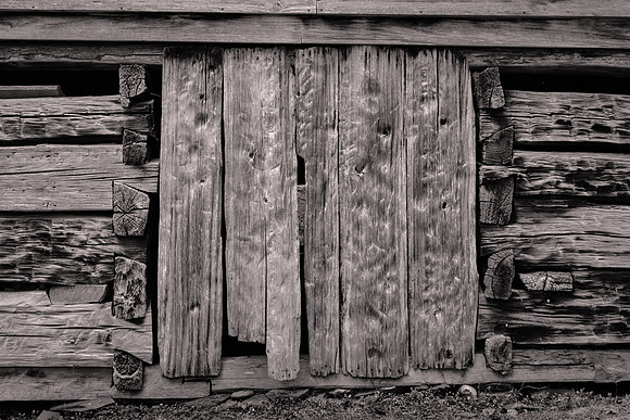Ogle's great-grandfather, William Ogle (1756–1803), was the first Euro-American settler in the Gatlinburg area,