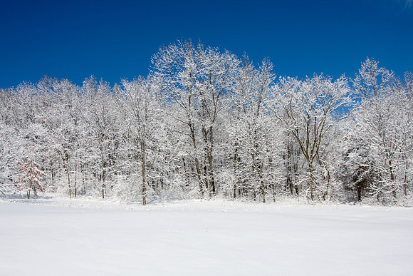 Galena Snow