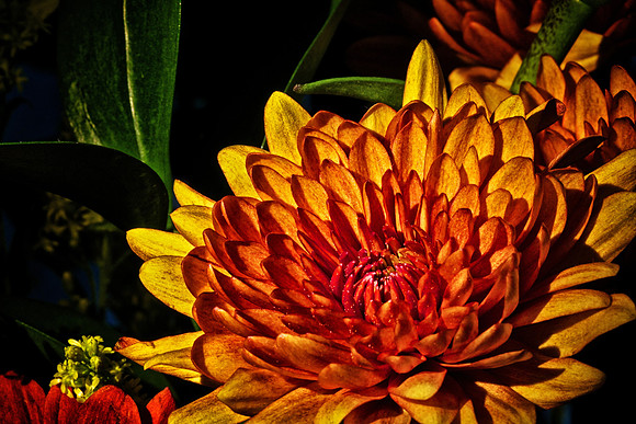 Andrea's Flowers, Herndon, VA