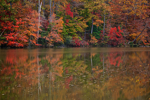 Lake Norman State Park - Fall Color