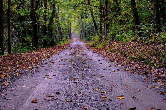 Straight Fork - Raven Fork, GSMNP