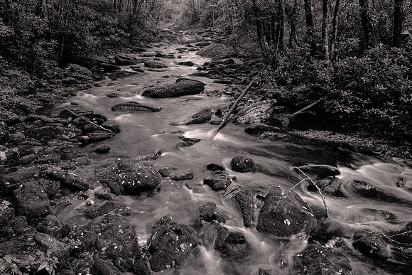 Straight Fork - Raven Fork, GSMNP