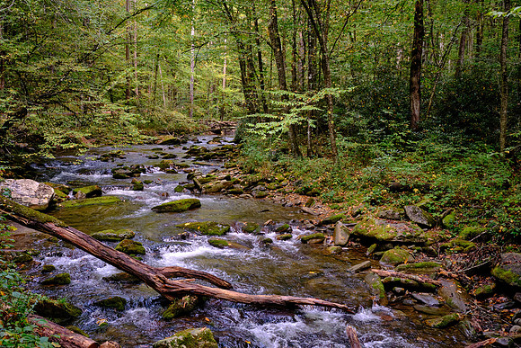 Straight Fork - Raven Fork, GSMNP