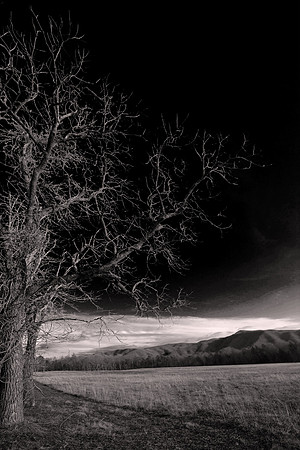 2012 November: Cades Cove, Tennessee