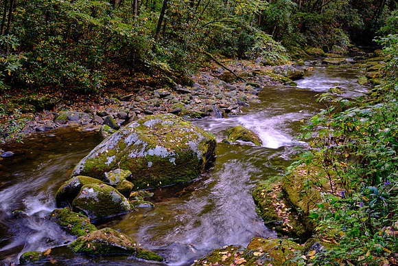 Straight Fork - Raven Fork, GSMNP