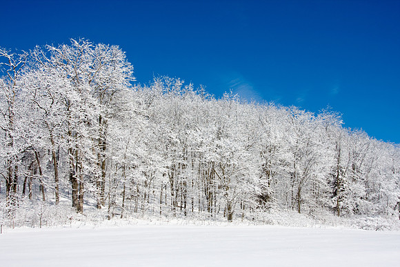 Galena Snow