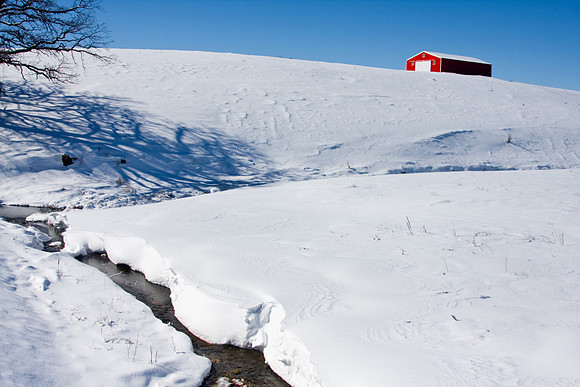 Galena Snow