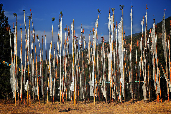 Prayer flags at Chimi Lakhang ("No Dog") Temple