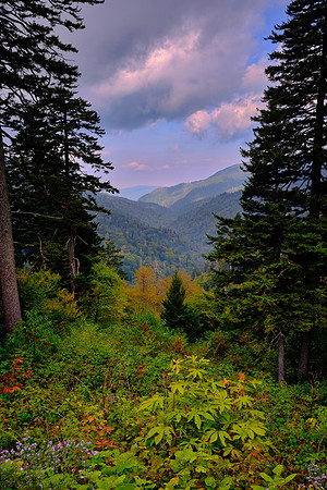 Great Smoky Mountain National Park from the Blue Ridge Parkway