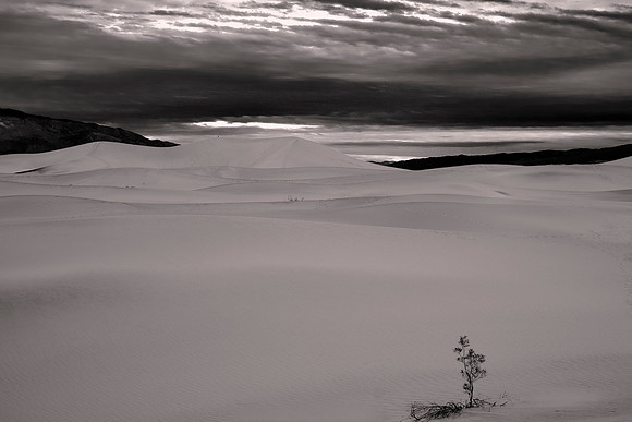 Mesquite Flat Dunes, Death Valley NP, CA