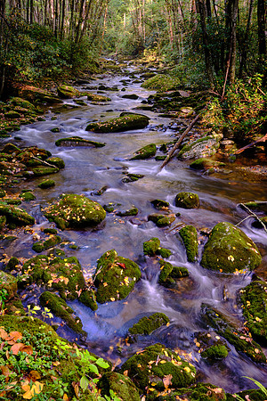 Straight Fork - Raven Fork, GSMNP