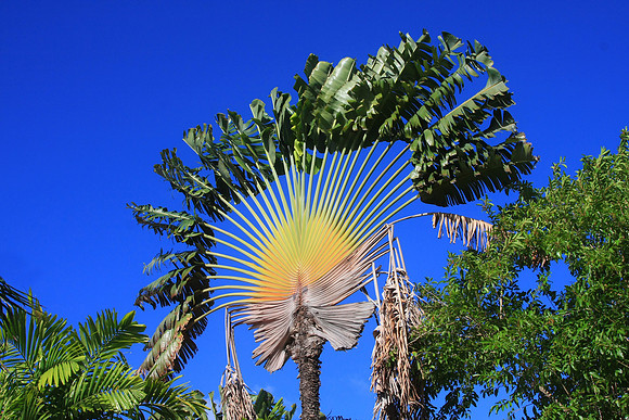 St. Croix