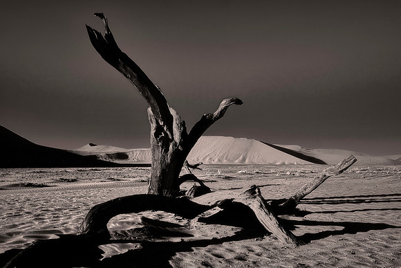 Dunes in Sossusvlei, Namib Desert, Namibia