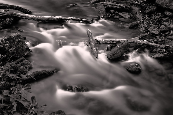 Straight Fork - Raven Fork, GSMNP