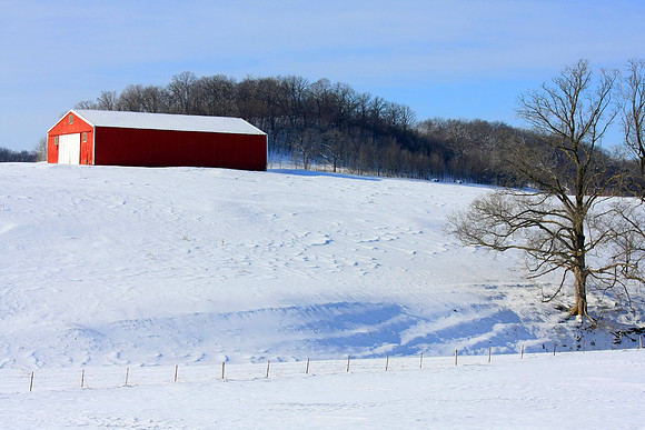 Galena Snow