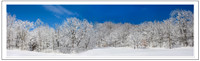 Panoramas