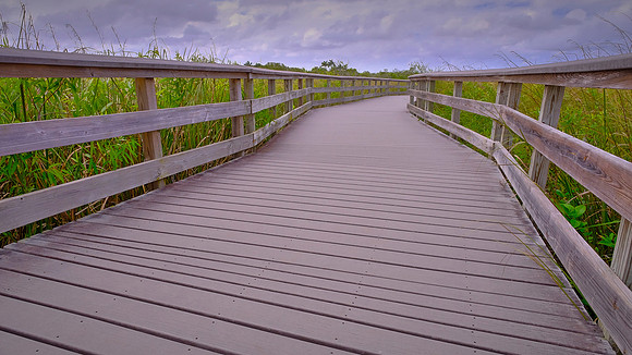 Freshwater Marl Prairie, Everglades National Park