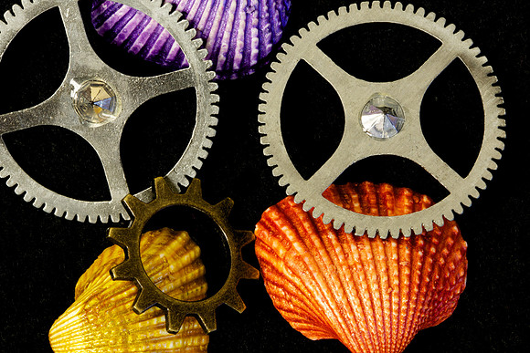 Macro Photography