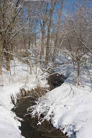 Galena Snow