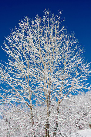 Galena Snow