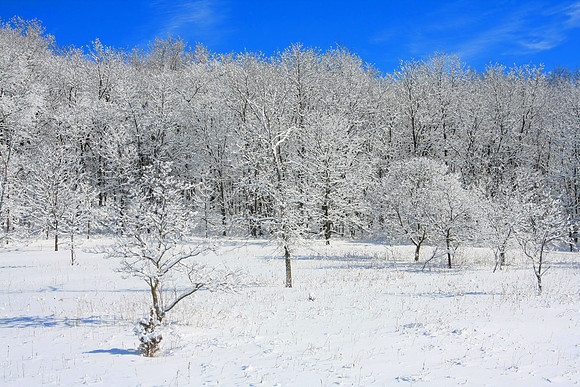 Galena Snow