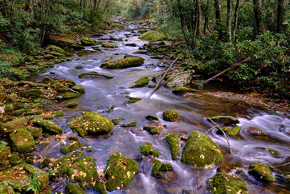 Straight Fork - Raven Fork, GSMNP