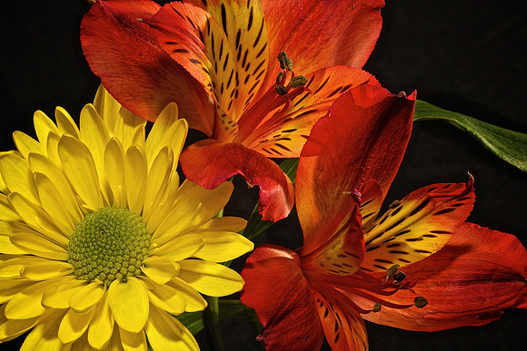 Andrea's Flowers, Herndon, VA