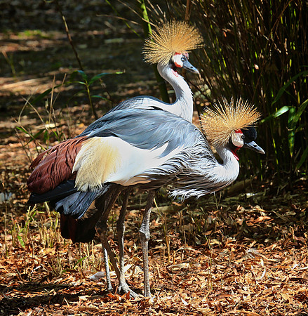 2014 March - Columbia SC Zoo