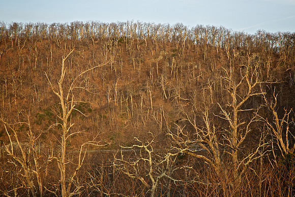Blue Ridge Parkway, NC