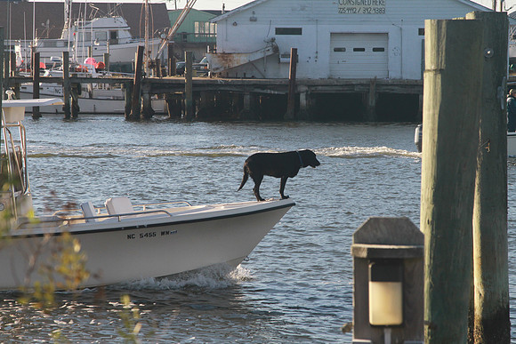 Beaufort, NC