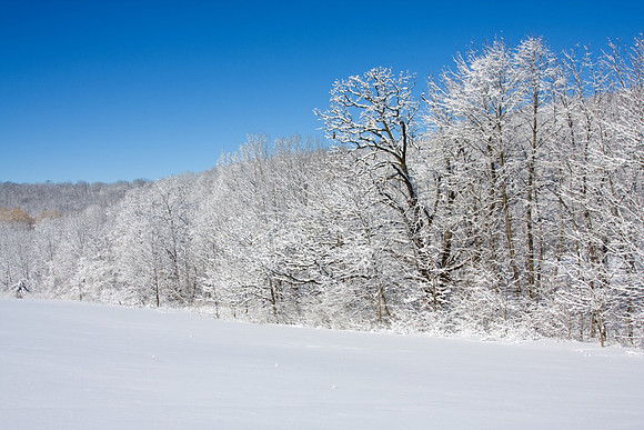 Galena Snow