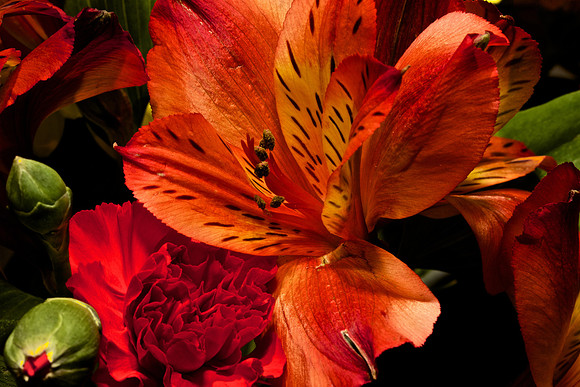 Andrea's Flowers, Herndon, VA
