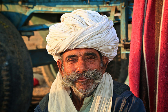 Nagaur Camel and Livestock Fair, Nagaur, Rajasthan