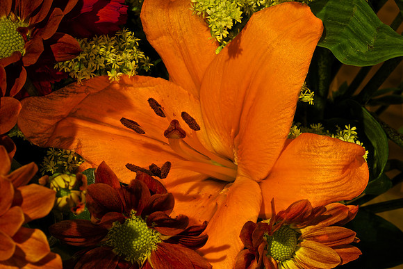 Andrea's Flowers, Herndon, VA