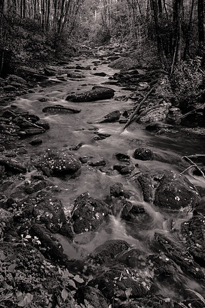 Straight Fork - Raven Fork, GSMNP