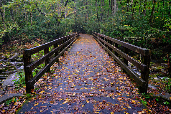 Bridge over the Oconaluftee River