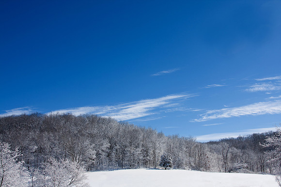 Galena Snow