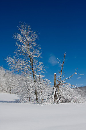 Galena Snow