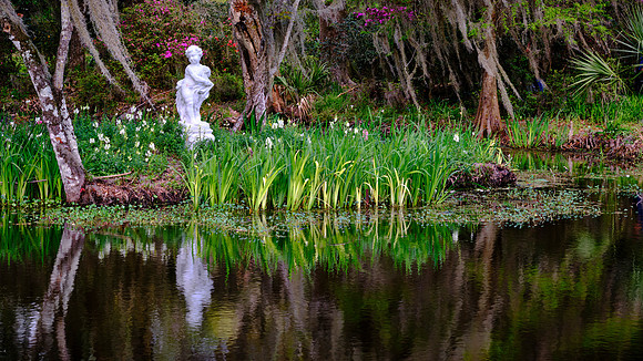 Magnolia Plantation, Charleston, SC