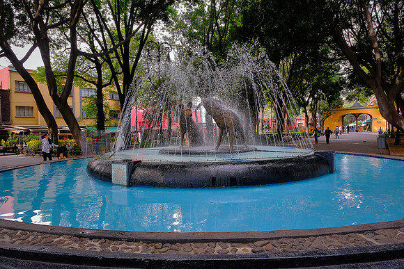 We walked around the Coyoacán neighborhood of Mexico City...
