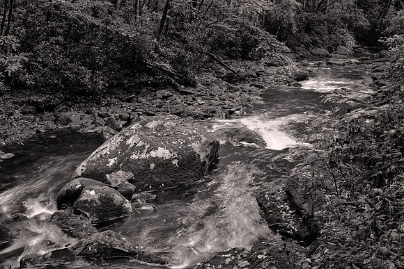 Straight Fork - Raven Fork, GSMNP