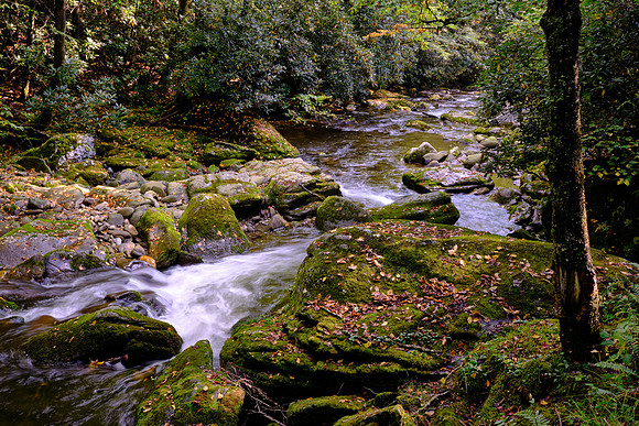 Straight Fork - Raven Fork, GSMNP