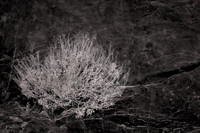 2022 Sept - Death Valley Untraveled