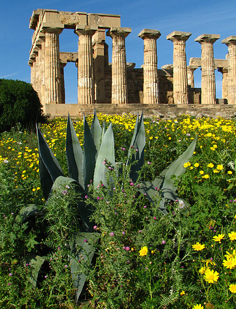 Sicily